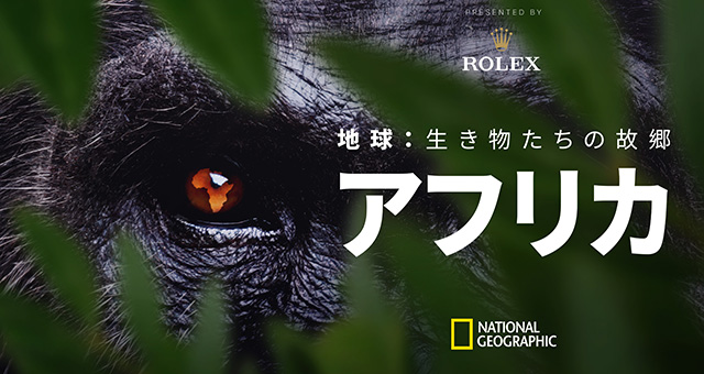 地球：生き物たちの故郷～アフリカ