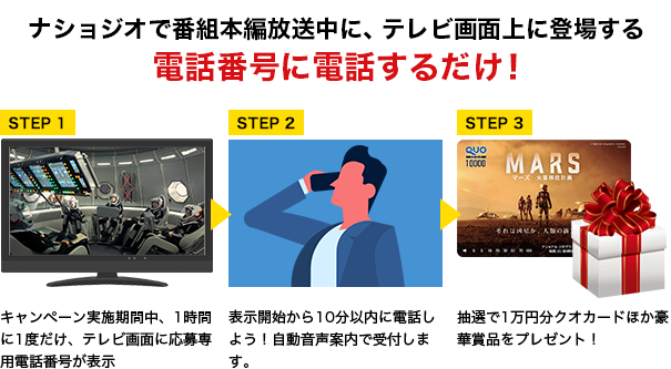 MARS放送中に、テレビ画面上に登場する電話番号に電話するだけ！