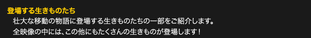 生き物キャスト紹介