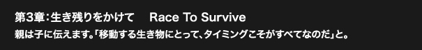 第3章：生き残りをかけて　 Race To Survive