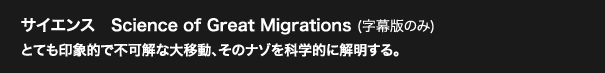 サイエンス　Science of Great Migrations (字幕版のみ)